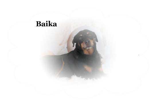 Baika