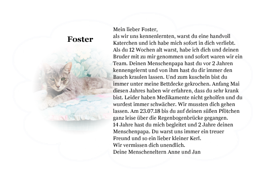 Foster