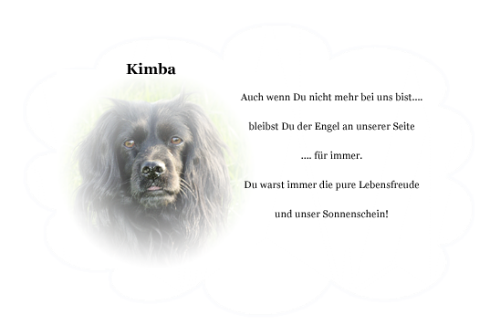 Kimba